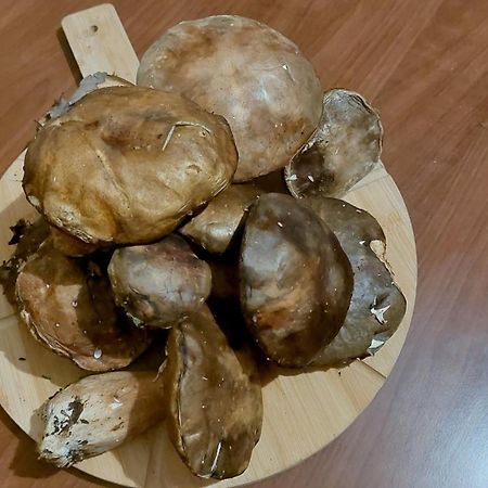 Agriturismo La Terrazza Valfabbrica エクステリア 写真