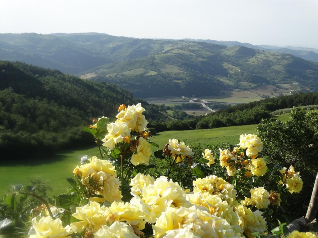 Agriturismo La Terrazza Valfabbrica エクステリア 写真